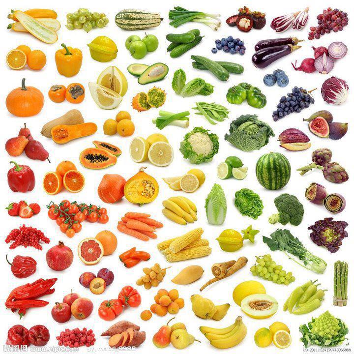 rainbow of vegitation