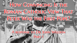 a rebuttal to The John Ankerberg Show's articel, written by Dr. John Weldon, How Convincing Is the Roman Catholic View That Peter Was the First Pope?